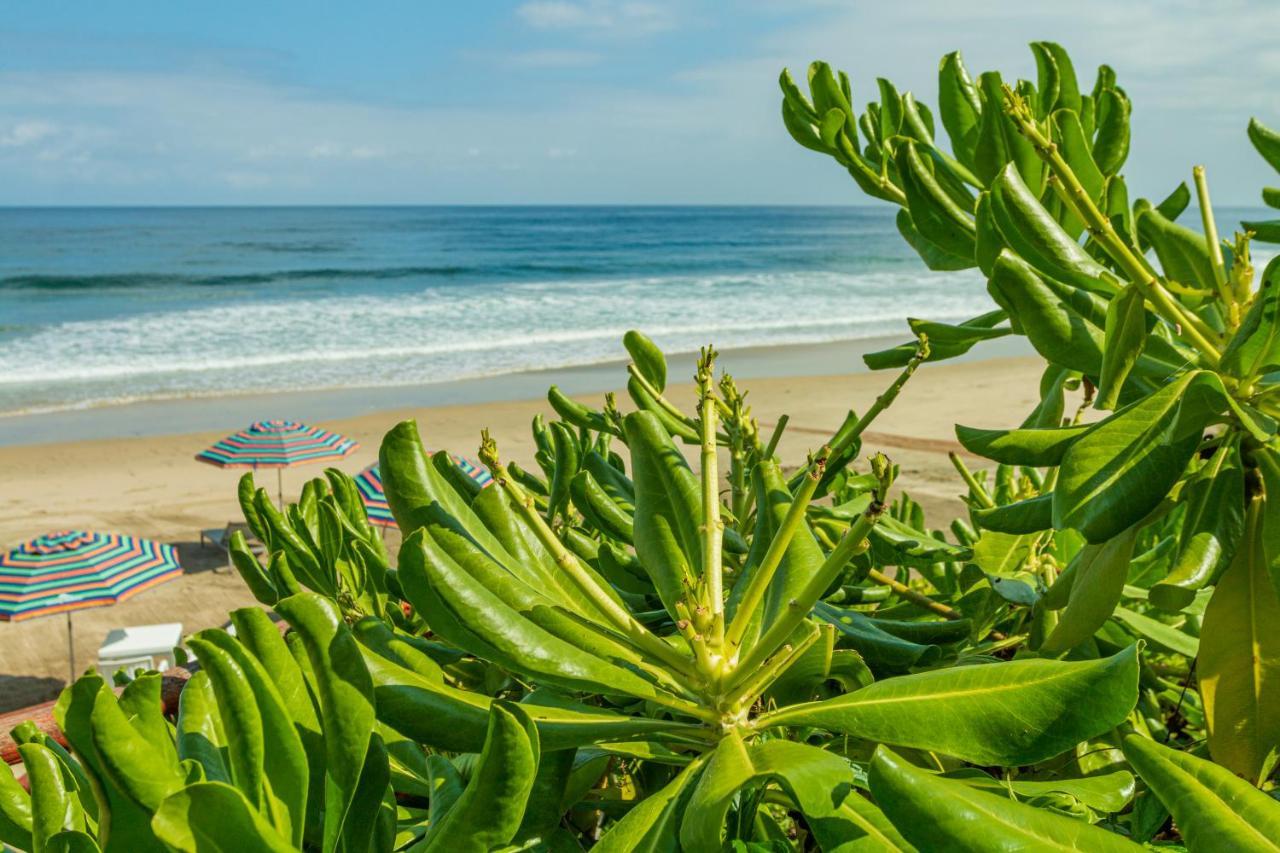 Marsai Hotel Boutique (Adults Only) Punta Mita Luaran gambar